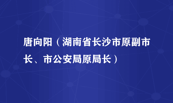 唐向阳（湖南省长沙市原副市长、市公安局原局长）