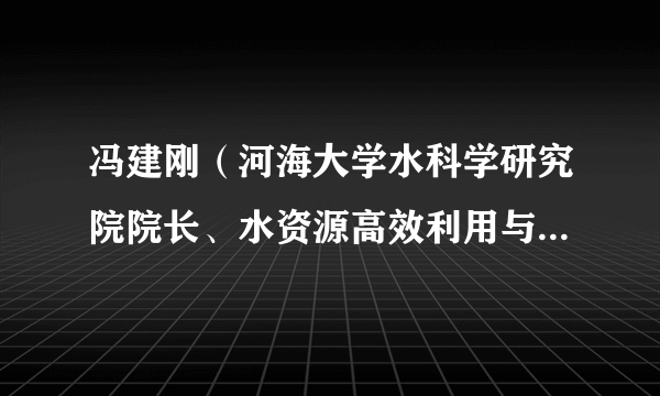 冯建刚（河海大学水科学研究院院长、水资源高效利用与工程安全国家工程研究中心主任）
