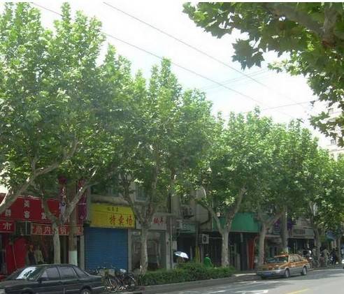 江宁路（上海市静安区和普陀区境内道路）