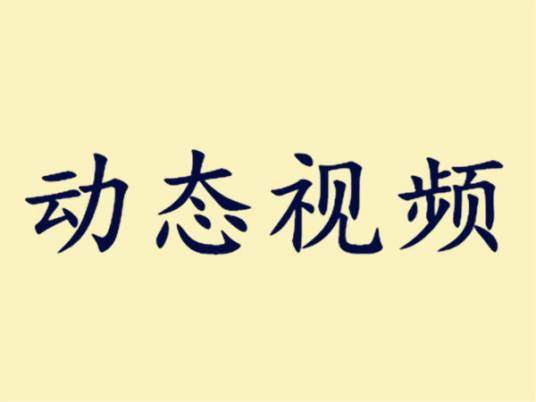 动态视频