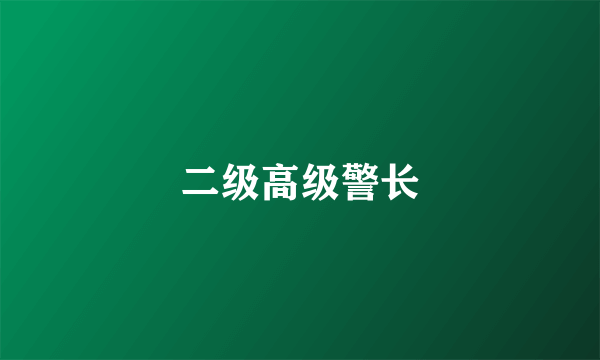 二级高级警长