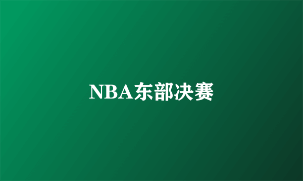 NBA东部决赛