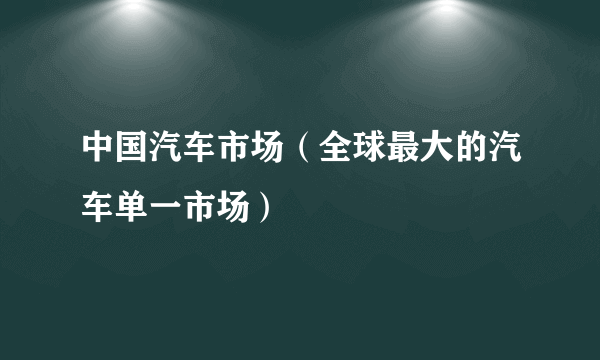 中国汽车市场（全球最大的汽车单一市场）