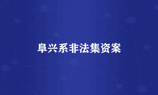 阜兴系非法集资案
