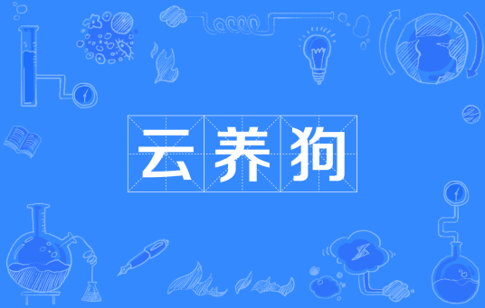 云养狗