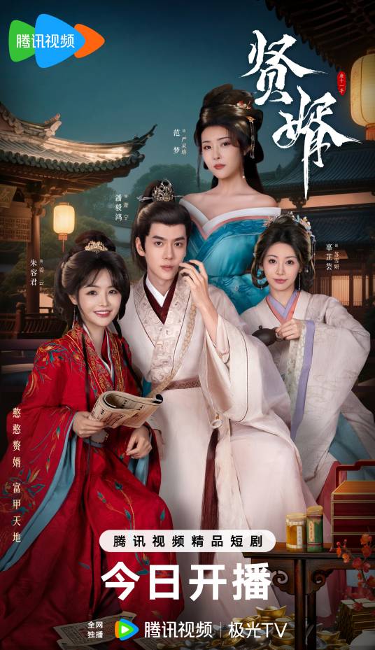 贤婿（2025年唐十一执导的古装爱情剧）