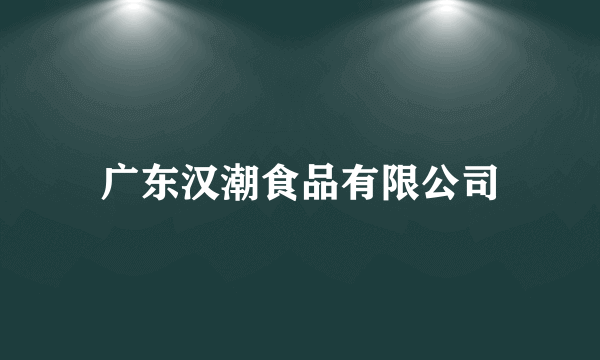 广东汉潮食品有限公司