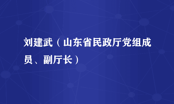 刘建武（山东省民政厅党组成员、副厅长）