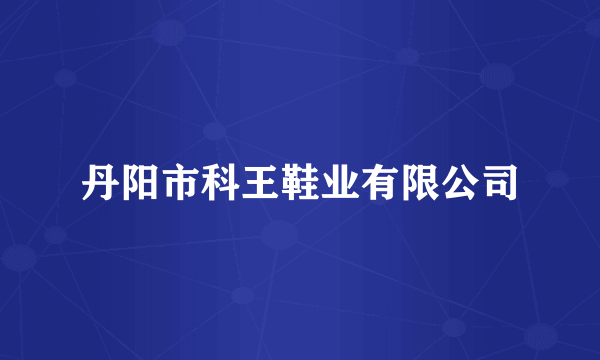 丹阳市科王鞋业有限公司