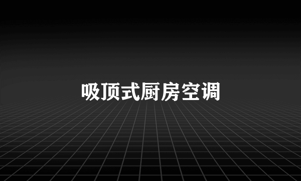 吸顶式厨房空调