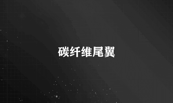 碳纤维尾翼