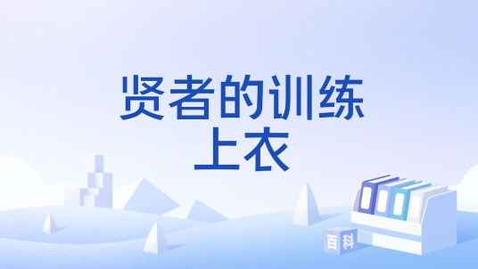 贤者的训练上衣