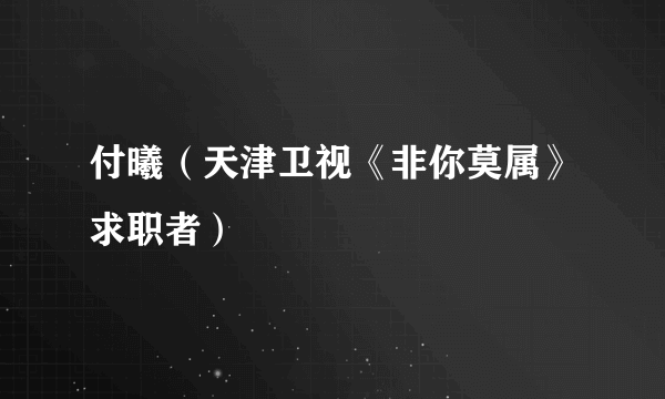 付曦（天津卫视《非你莫属》求职者）