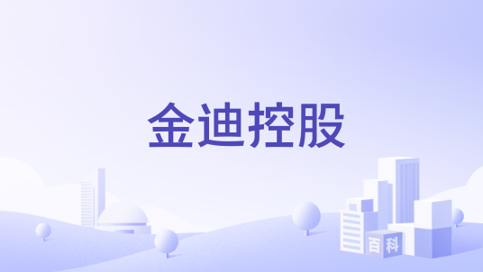 金迪控股