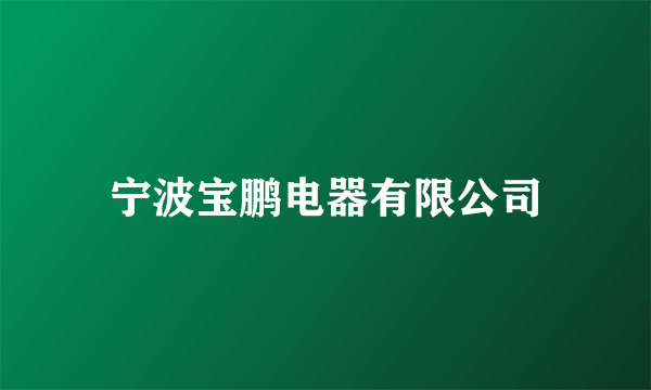宁波宝鹏电器有限公司