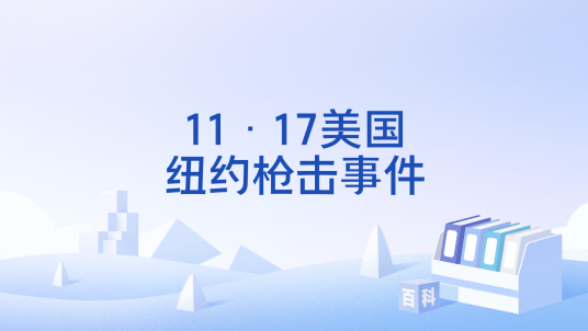 11·17美国纽约枪击事件