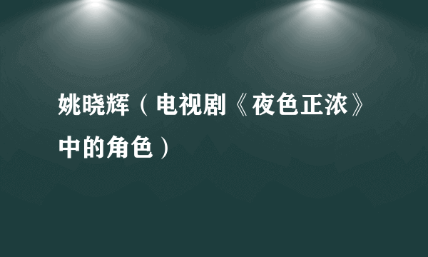 姚晓辉（电视剧《夜色正浓》中的角色）