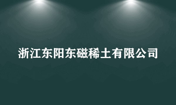 浙江东阳东磁稀土有限公司