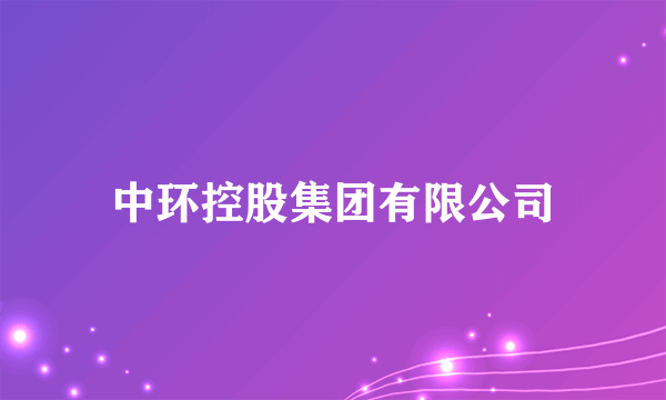 中环控股集团有限公司