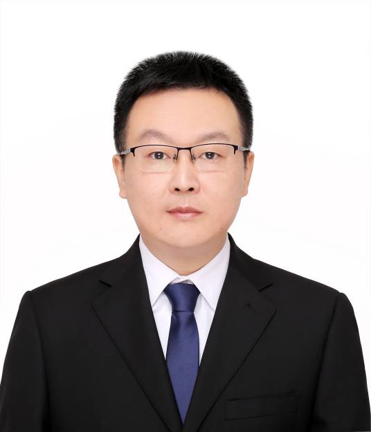 王晨辉（电子科技大学教授）