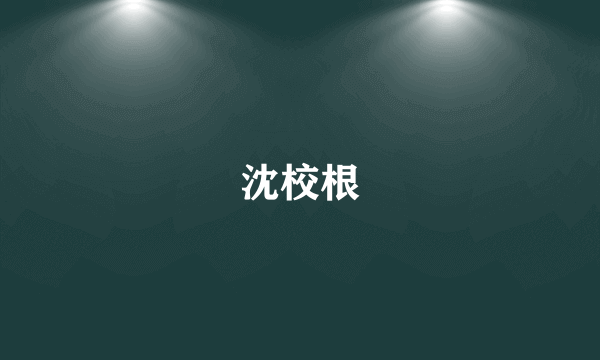 沈校根