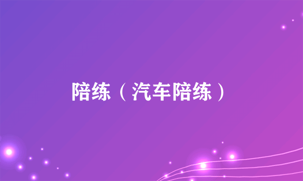 陪练（汽车陪练）