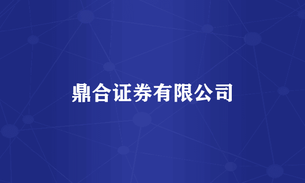 鼎合证券有限公司