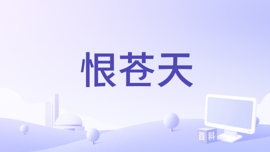 恨苍天（刘阳阳演唱的歌曲）