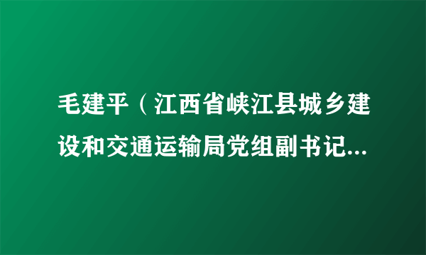 毛建平（江西省峡江县城乡建设和交通运输局党组副书记、局长）