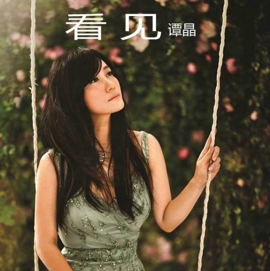 看见（谭晶演唱歌曲）