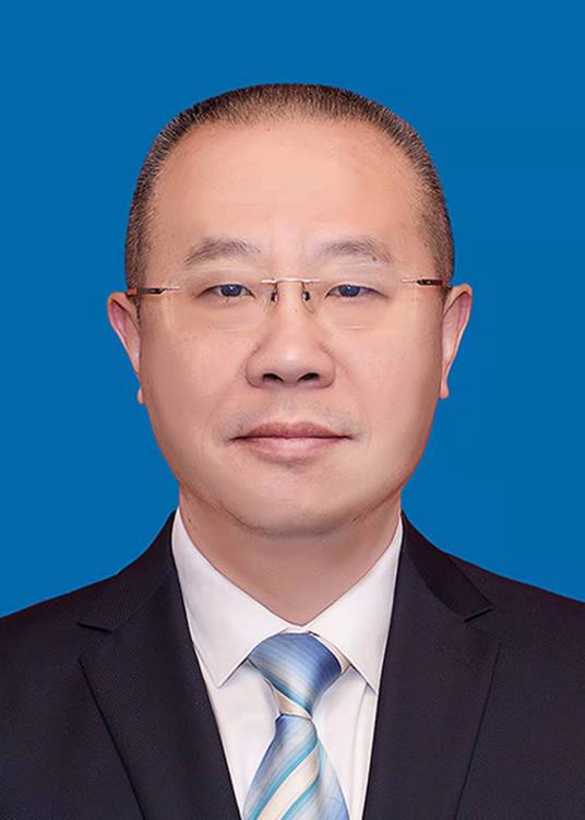 左军（重庆市武隆区委原副书记、区长）