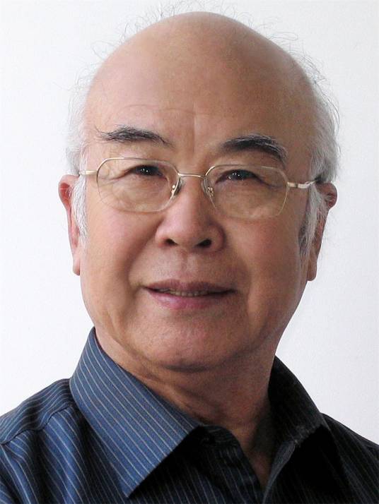 宋戈(中国演员)