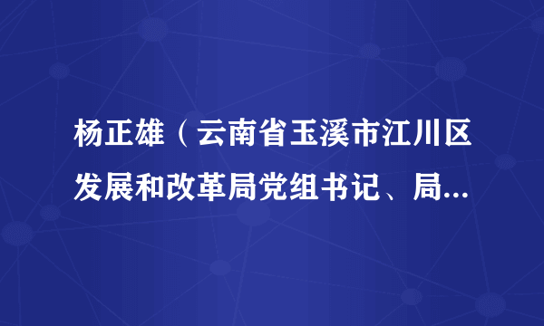 杨正雄（云南省玉溪市江川区发展和改革局党组书记、局长、区人民政府国防动员办公室主任、区人民防空办公室主任）
