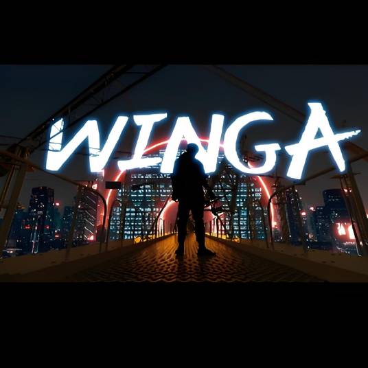 不自由摄影师winga（bilibili科技UP主）