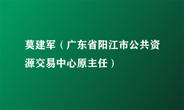 莫建军（广东省阳江市公共资源交易中心原主任）
