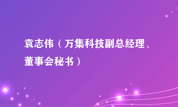 袁志伟（万集科技副总经理、董事会秘书）
