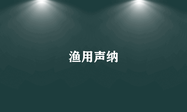 渔用声纳