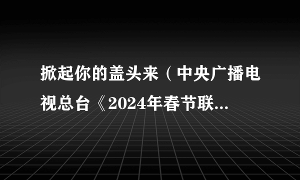 掀起你的盖头来（中央广播电视总台《2024年春节联欢晚会》表演节目）