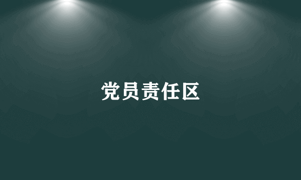 党员责任区