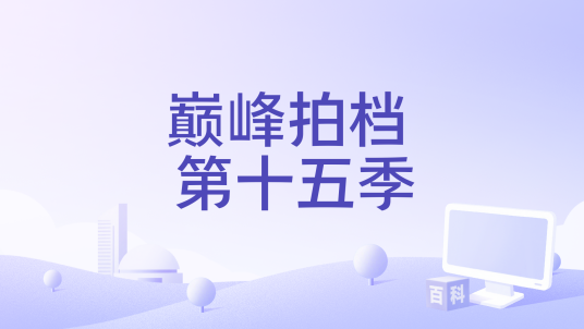 巅峰拍档 第十五季