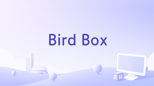 Bird Box