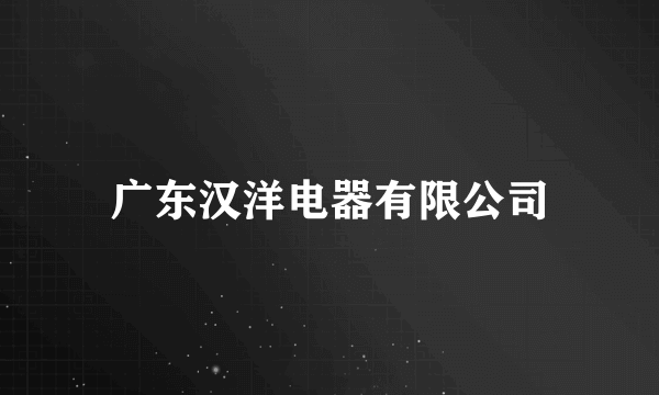 广东汉洋电器有限公司