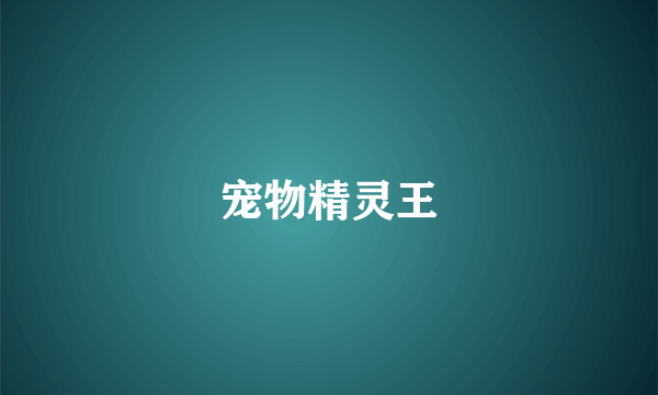 宠物精灵王
