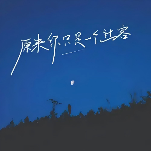 原来你只是一个过客(洋澜一演唱得歌曲)