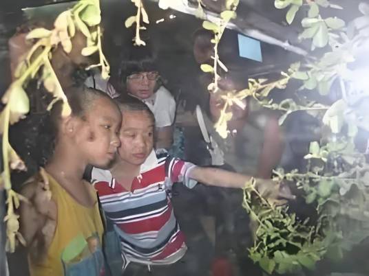 农耕休闲游