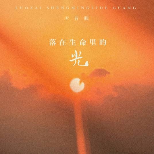 落在生命里的光（尹昔眠演唱的国语流行歌曲）