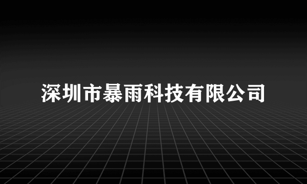 深圳市暴雨科技有限公司