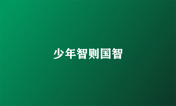 少年智则国智