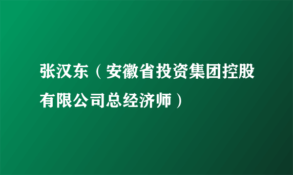 张汉东（安徽省投资集团控股有限公司总经济师）