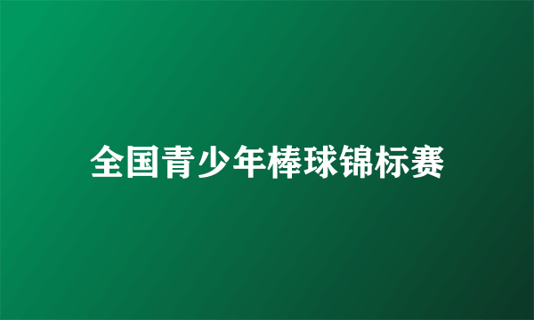 全国青少年棒球锦标赛